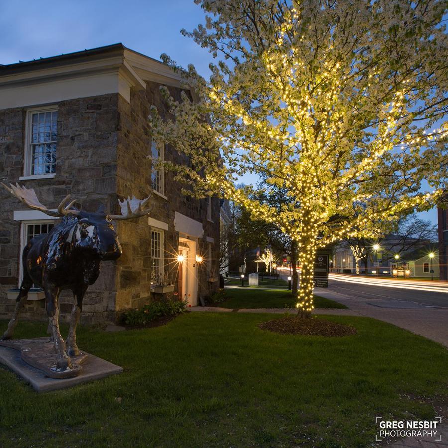 Governor'S Rock Motel Shaftsbury Bagian luar foto